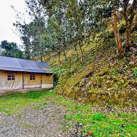 Oyo 29888 Nature Treat Hotel Chail Esterno foto